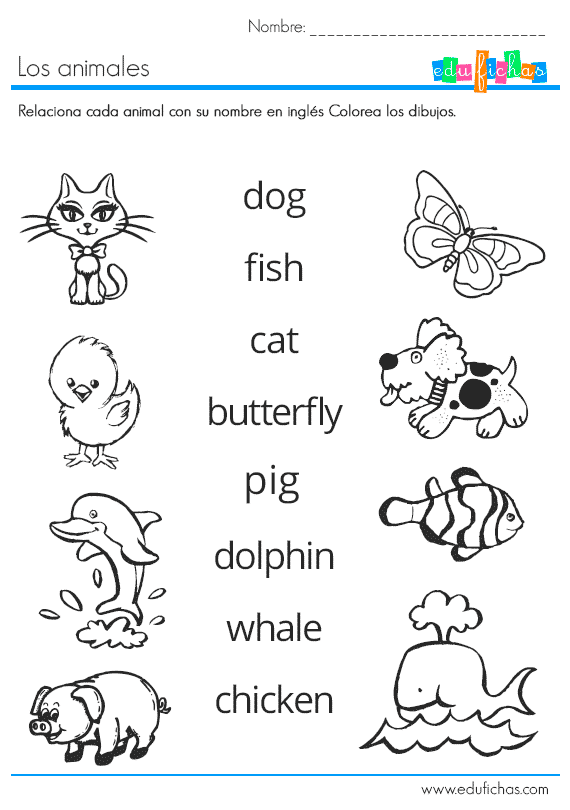 Los nombres de animales en inglés - Imagui