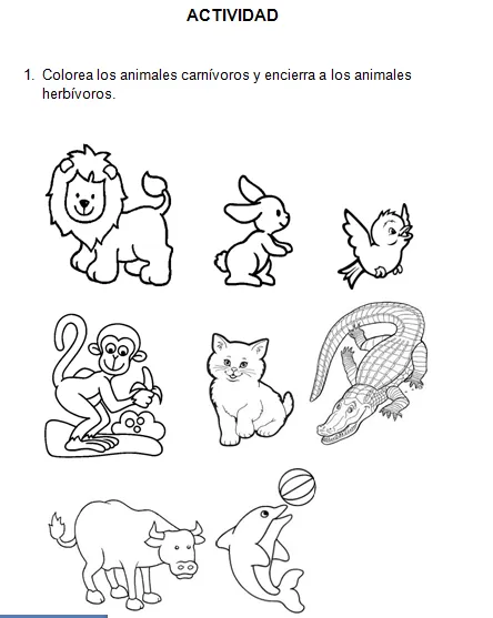Dibujo de animales omnivoros para colorear - Imagui