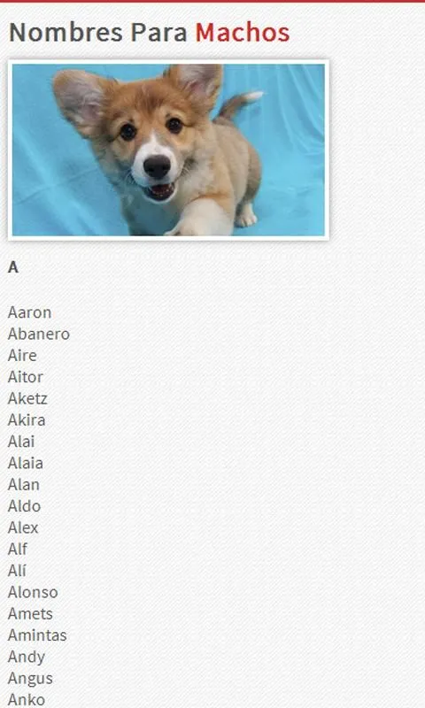 Nombres de Perros - Aplicaciones de Android en Google Play