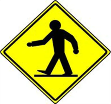 Normas Educativas de Seguridad Vial para Peatones: julio 2010