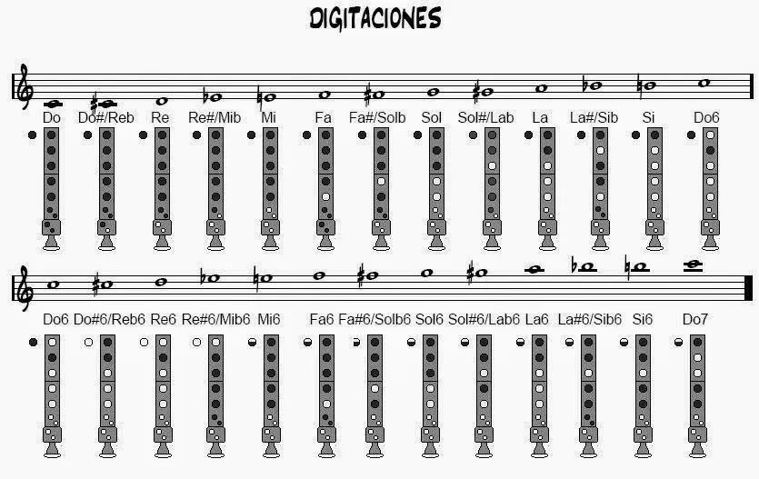 Todas las notas de la flauta dulce soprano. | Flautín Extremo