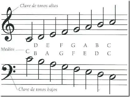 Notas Musicales - Ciencia Explicada