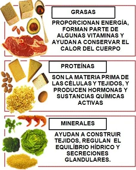 Ejemplos de minerales en alimentos - Imagui