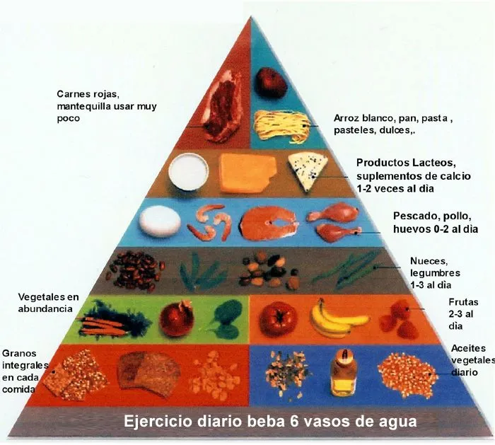 Nueva-piramide-alimenticia.jpg