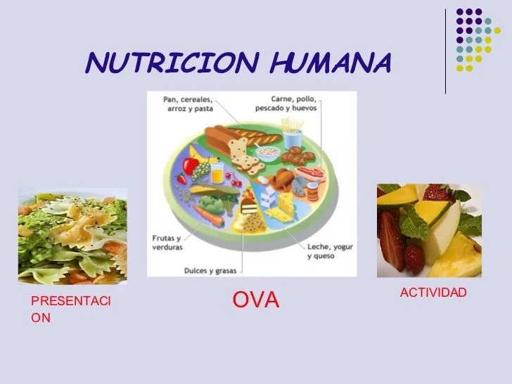 Nutricion Humana