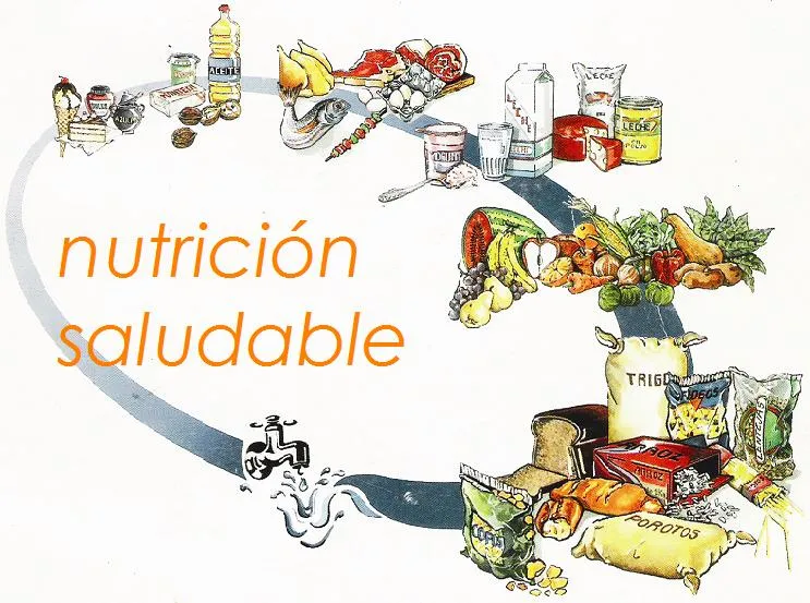 Mejor marca de batido de proteinas: El ovalo nutricional argentino