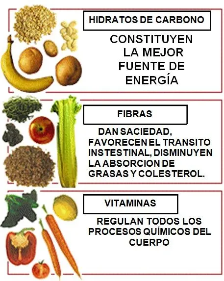 Nutrientes fundamentales « teo nutrición