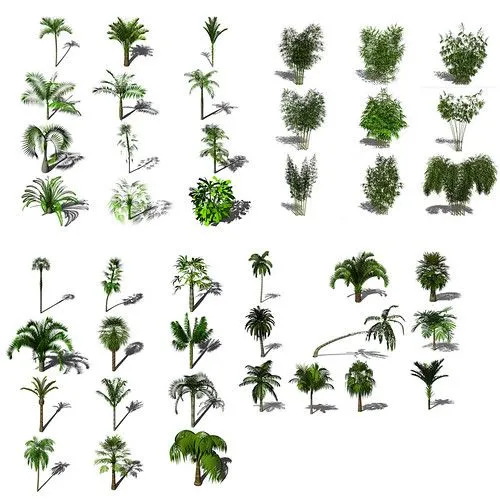 Objetos de vegetación para Artlantis studio - ARQUIGEEK