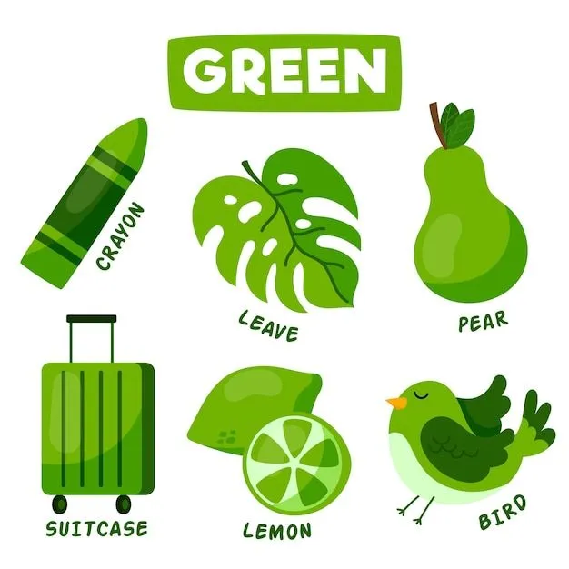 Objetos verdes y vocabulario en inglés. | Vector Gratis