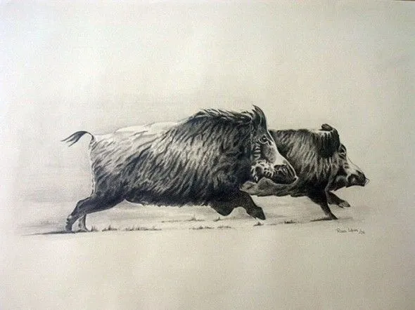 Obra de arte: Jabalies Artistas y arte. Artistas de la tierra Obra de arte: Jabalies Artistas y arte. Artistas de la tierra