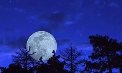 Luna llena de la noche larga | Moonmentum