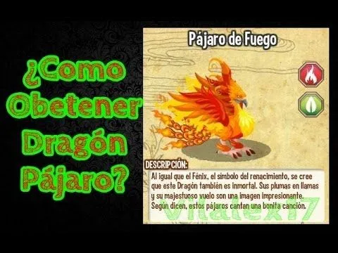 Como Obtener Dragón Pajaro de Fuego - How to Get Dragon Pajaro de ...