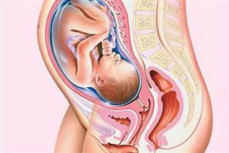 OCTAVO mes de embarazo | Embarazo-