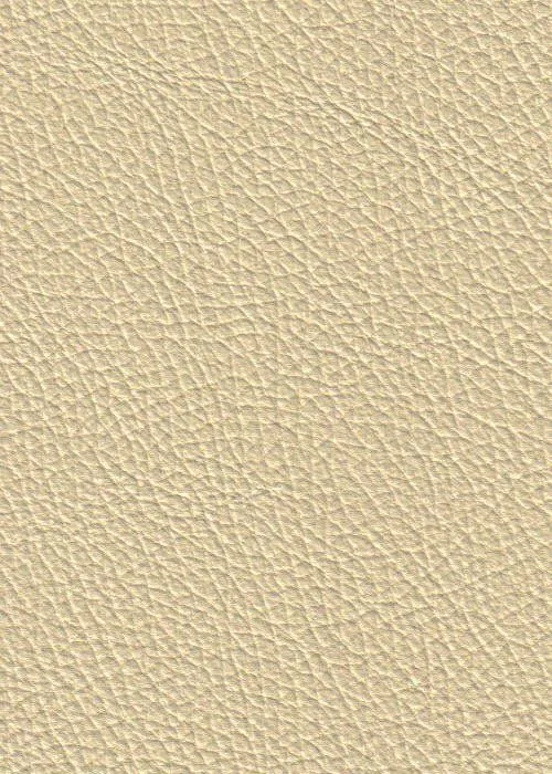 ocultar cuero color crema-Piel Genuina-Identificación del producto: ocultar cuero color crema-Piel Genuina-Identificación del producto: