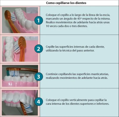 Odonto Salud - Tecnica de Cepillado Correcta Odonto Salud - Tecnica de Cepillado Correcta