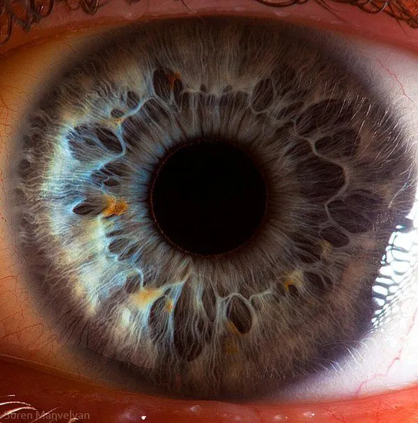 Esos ojazos tuyos…Macro fotografías del ojo humano - Taringa! Esos ojazos tuyos…Macro fotografías del ojo humano - Taringa!