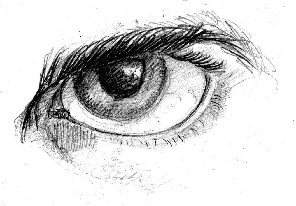 Dibujo de un ojo - Imagui