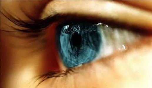 Ojos claros serenos (la hipótesis del ojo cooperativo) | La lógica ... Ojos claros serenos (la hipótesis del ojo cooperativo) | La lógica ...