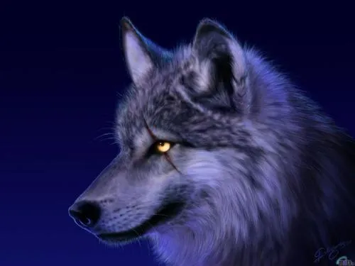 Ojos de lobos - Imagui
