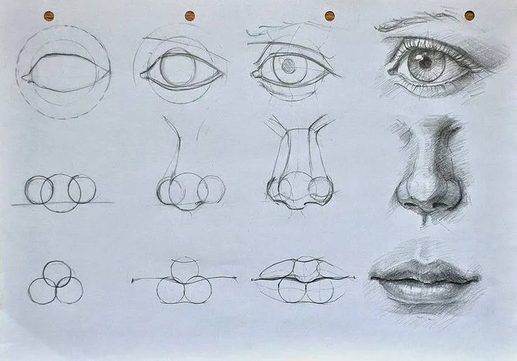 Como dibujar ojo, nariz y boca. | Dibujos con lapiz | Pinterest