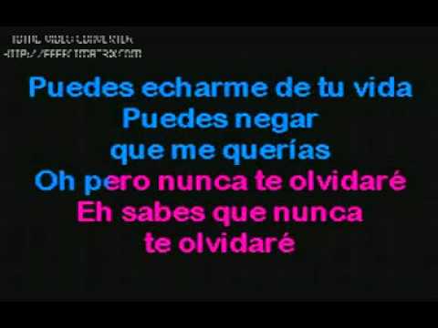 Nunca te Olvidaré: Acordes, Letra y Tabs (Enrique Iglesias)
