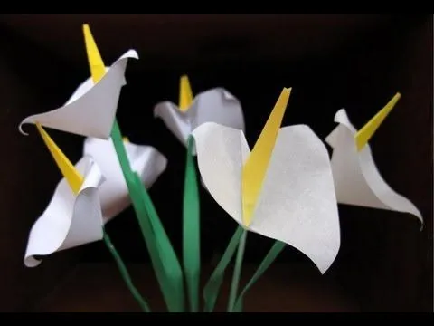 Origami Calla Lily :: Flor Alcatraz - Cartucho - YouTube