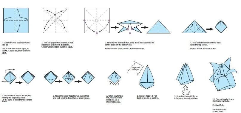 Origami: capítulo2: ESPECIAL FLORES