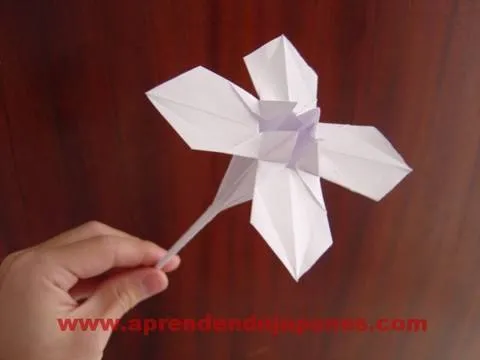 Origami Flower - Flor 2 - YouTube