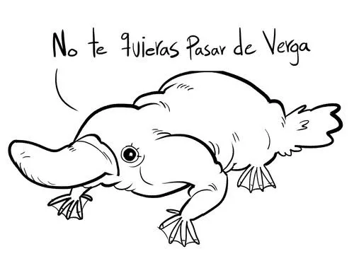 Dibujo de un ornitorrinco - Imagui