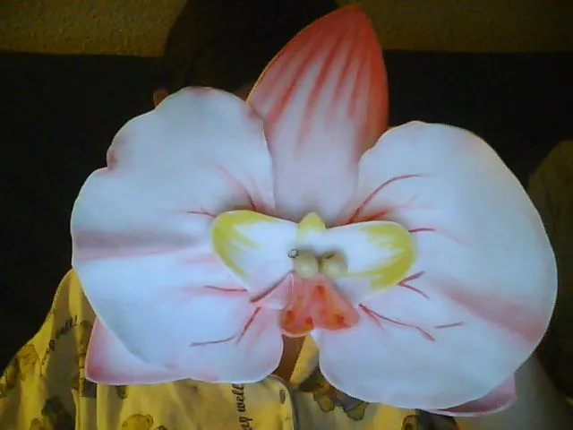 Orquídea | Flickr - Photo Sharing!