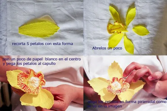 Orquidea de papel - Imagui