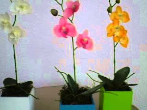 Como hacer orquidea - Imagui