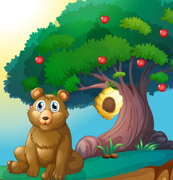 un oso frente a un gran Manzano con un panal de abejas — Vector ...