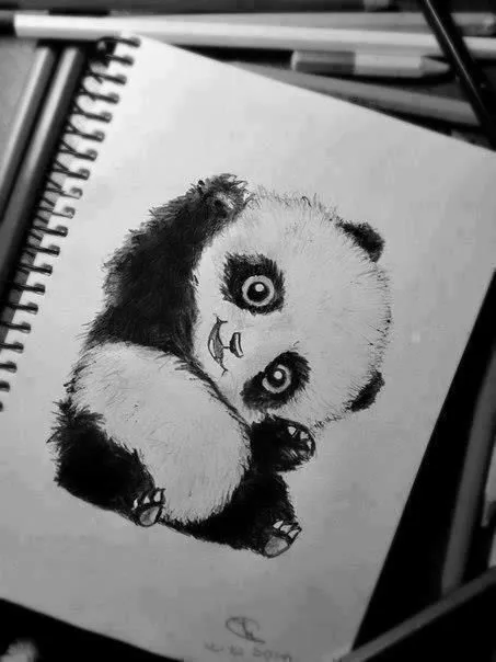 Oso panda dibujado a lapiz - Imagui