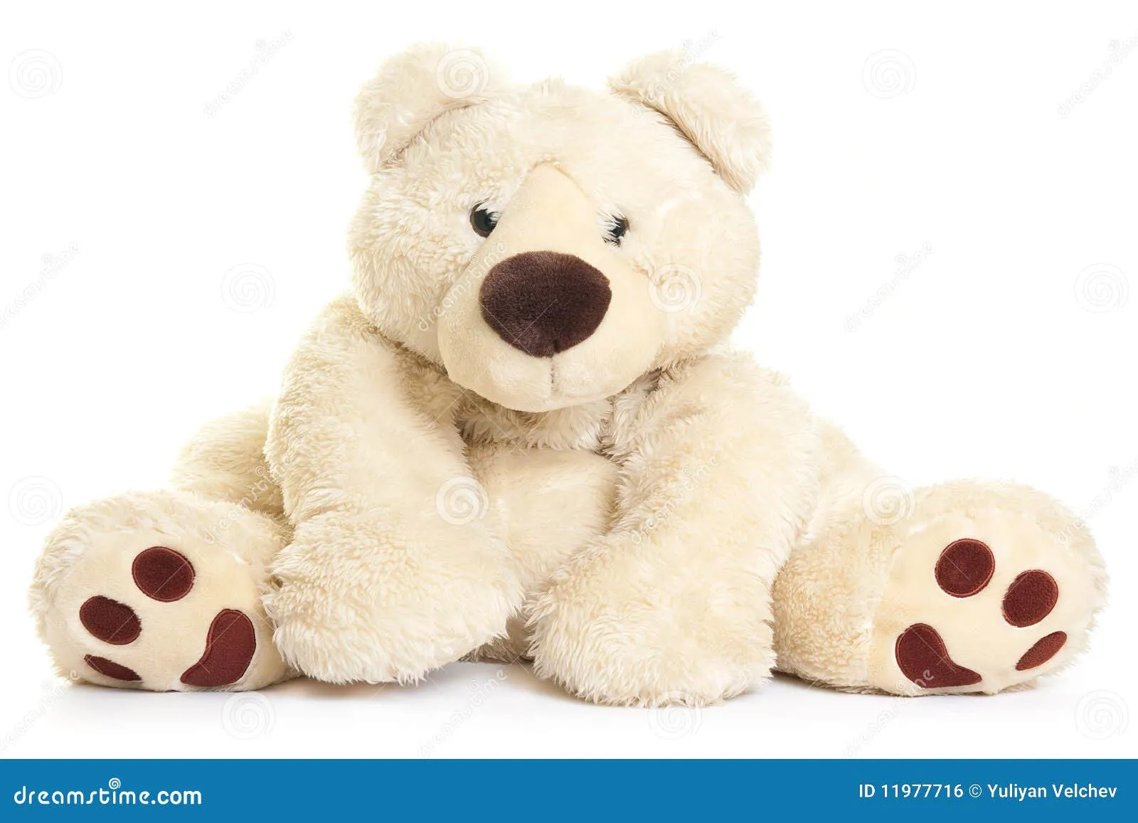 Oso De Peluche Grande Imagen de archivo libre de regalías - Imagen ... Oso De Peluche Grande Imagen de archivo libre de regalías - Imagen ...