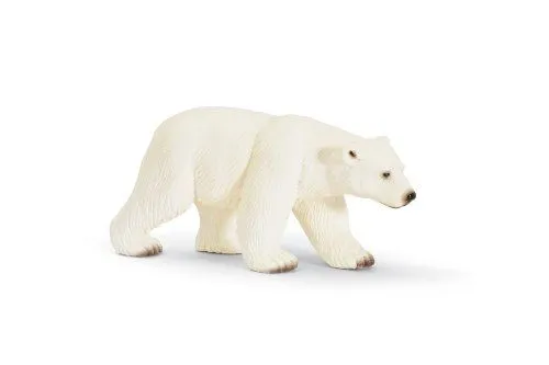 oso polar | En Clave de Niños