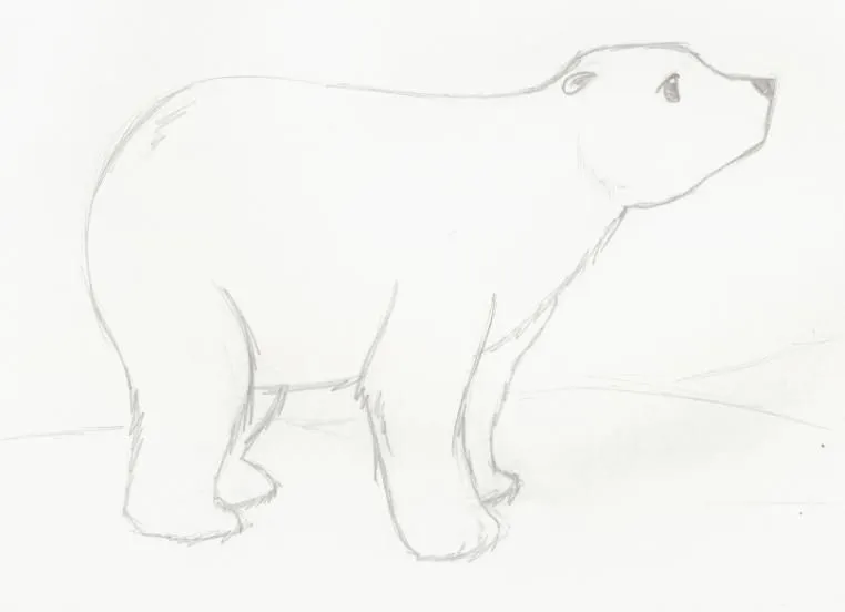 Coso de Ilustradores: Oso Polar