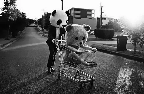 osos panda tumblr - Buscar con Google | Pandas *o* *w* | Pinterest ...