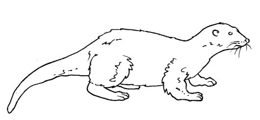otter, free coloring pages | Coloring Pages