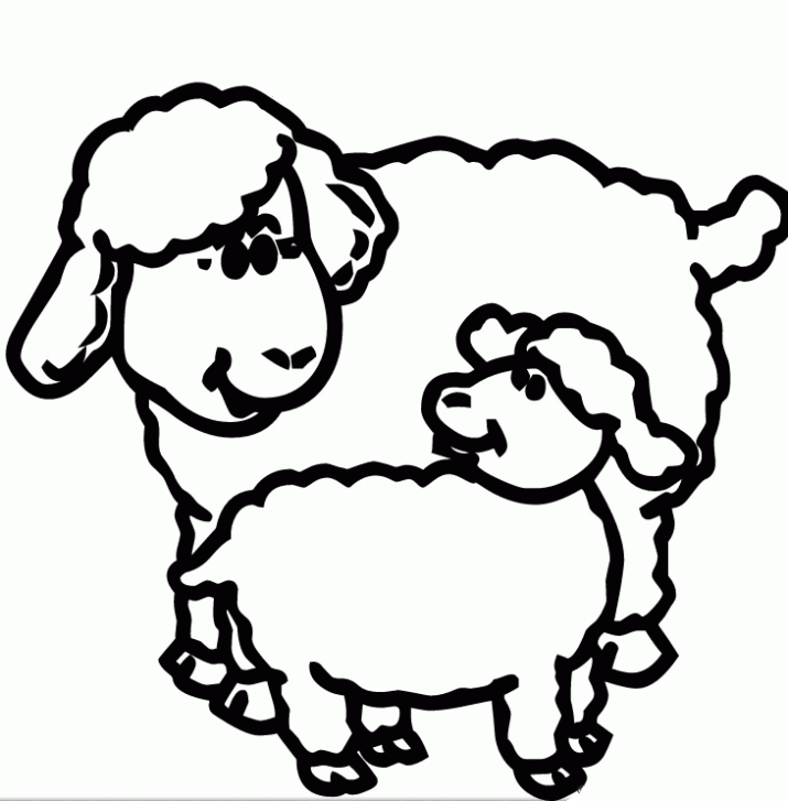 dibujo de oveja graciosa para colorear dibujos infantiles de oveja