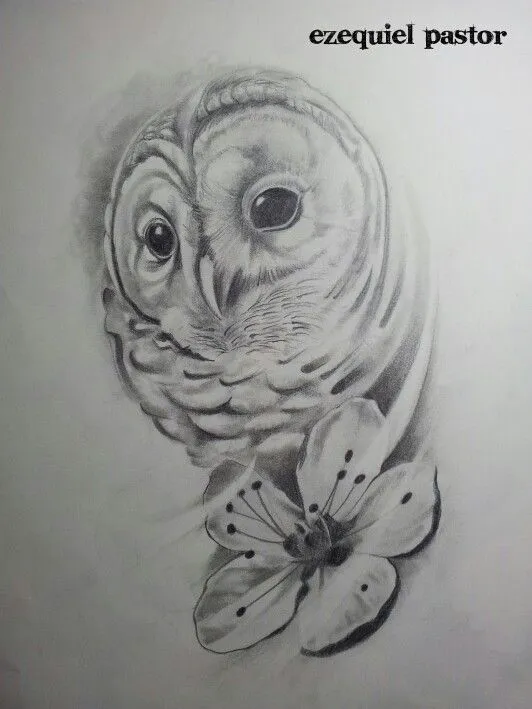 Owl,buho, draw,drawing,dibujo,sketch,book,design,diseño,art ...