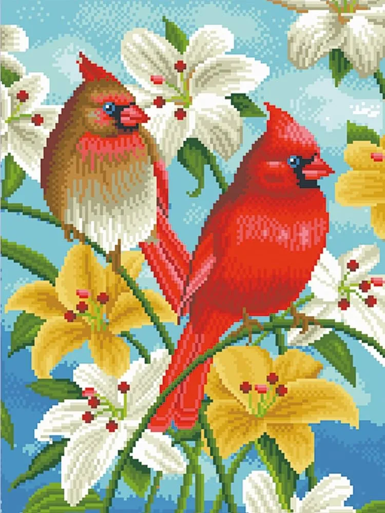 OWN4B - Kit de punto de cruz con estampado de pájaros y flores, 11  quilates, 14.2 x 18.1 pulgadas, kit de bordado (pájaros) : Amazon.com.mx:  Hogar y Cocina