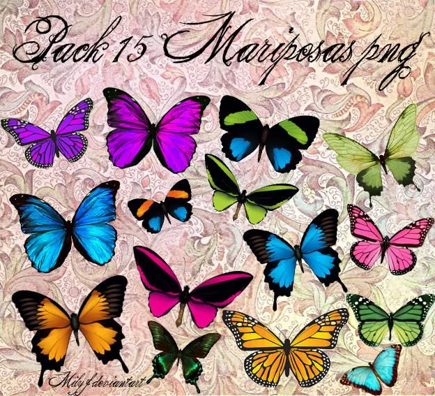 Pack 15 mariposas PNG by milyf on DeviantArt