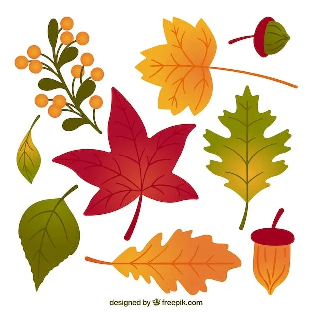 Pack de hojas de otoño dibujadas a mano | Vector Gratis Pack de hojas de otoño dibujadas a mano | Vector Gratis