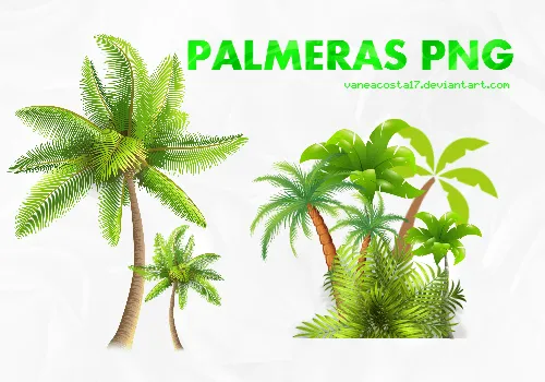PACK PALMERAS PNG by vaneacosta17 on DeviantArt