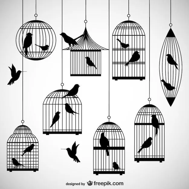 Pack de siluetas de jaulas de pájaro | Descargar Vectores gratis