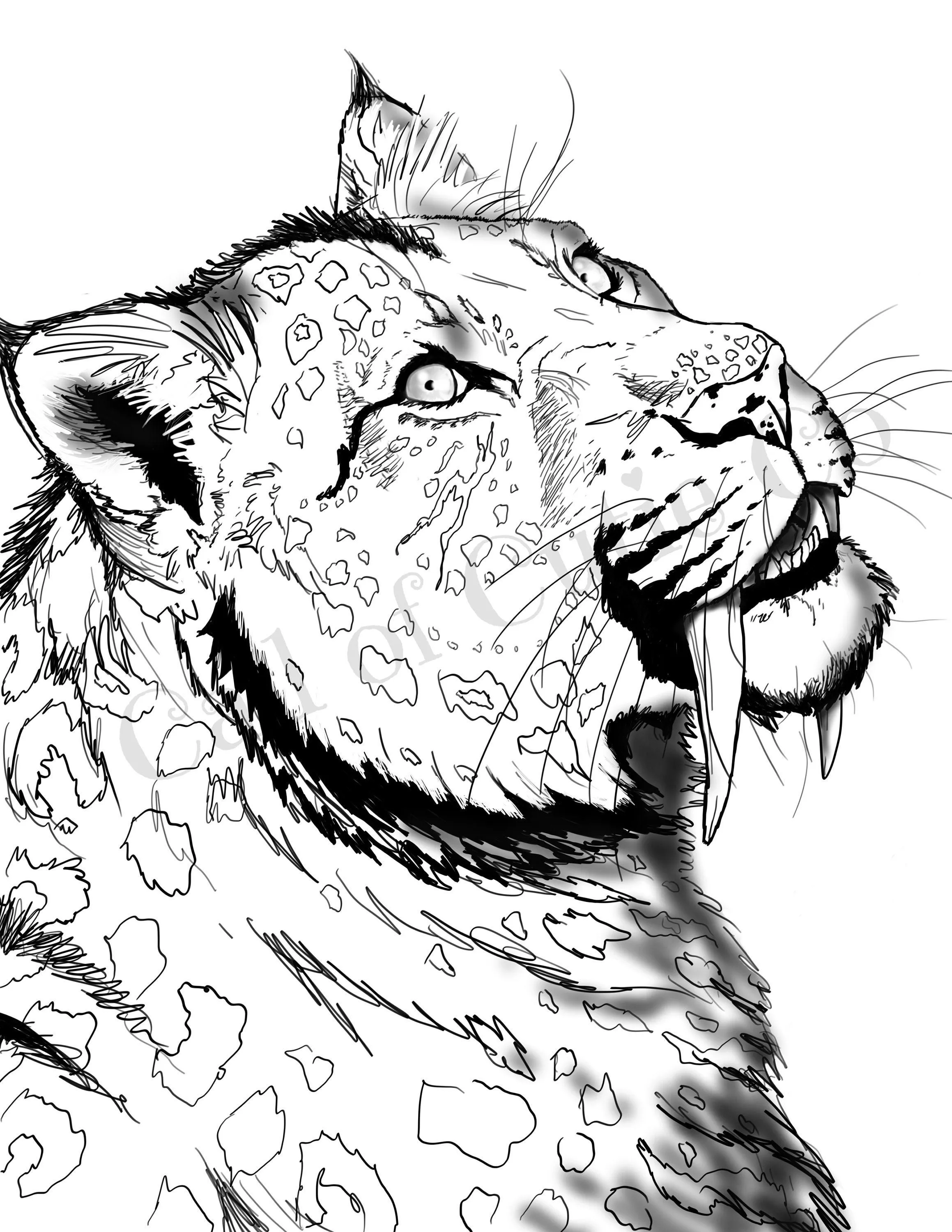 Página para colorear tigre diente sable páginas de color - Etsy México