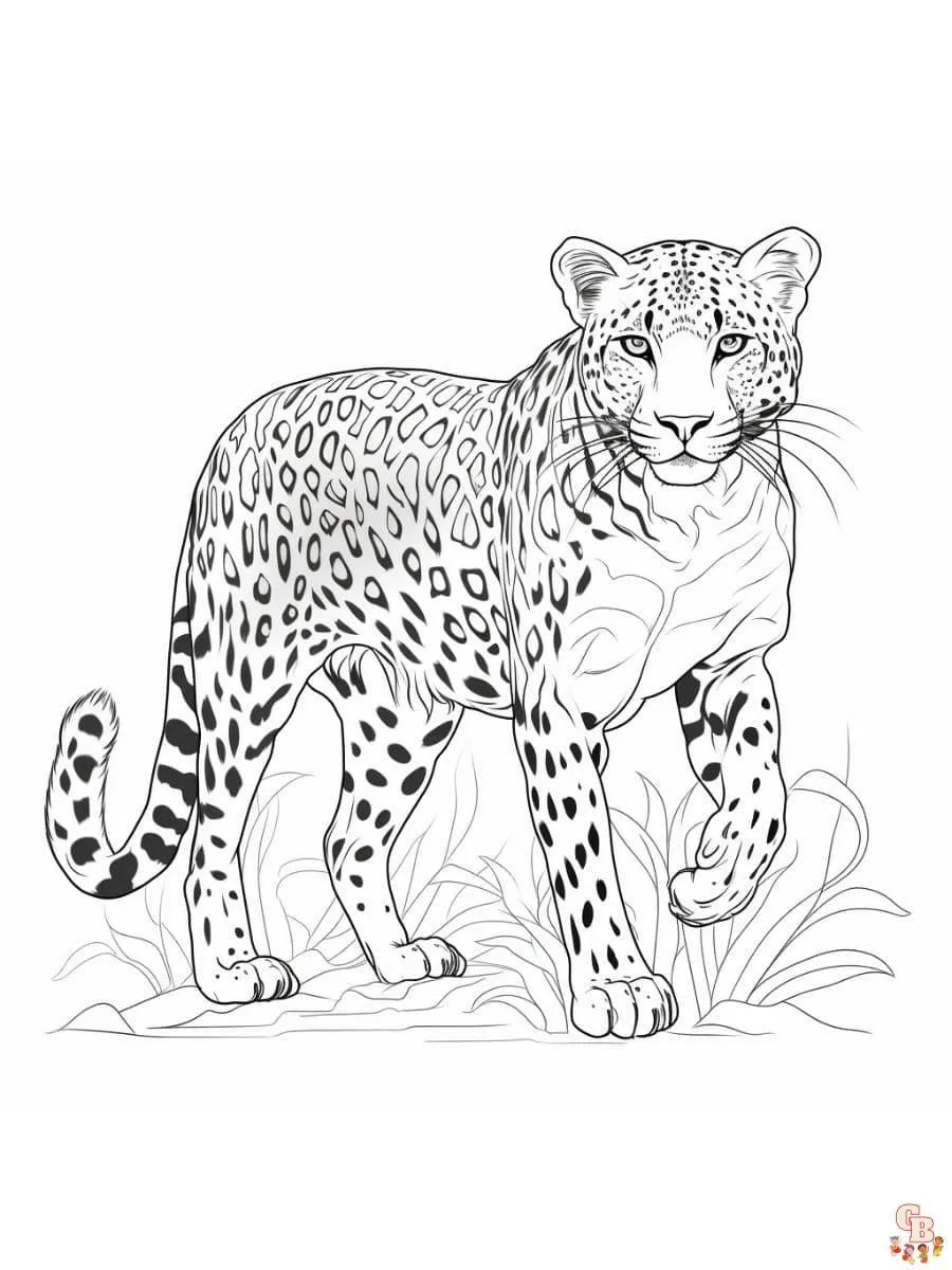Páginas para colorear de guepardo imprimibles gratis para niños y adultos