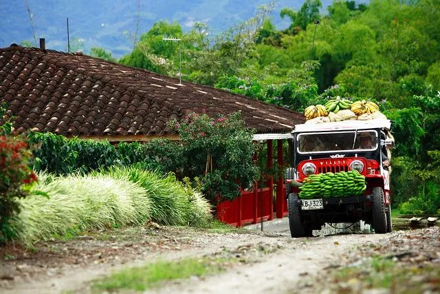 El Paisaje Cultural Cafetero de Colombia, un Tesoro Nacional