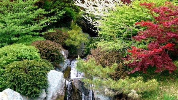 Paisaje japón: Las más hermosas imágenes de Cascadas majestuosas ...